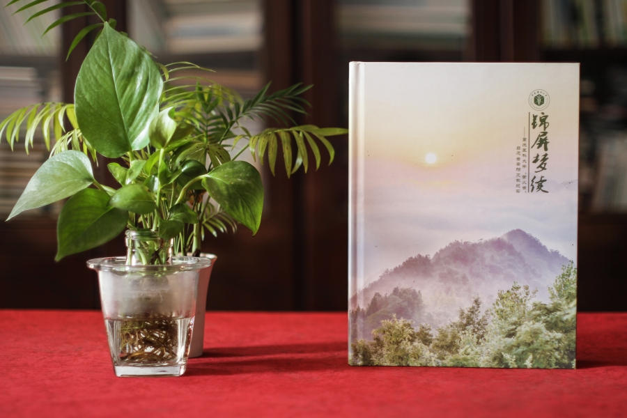 大學(xué)畢業(yè)寄語 大學(xué)畢業(yè)紀(jì)念冊寄語流露同學(xué)真情實意